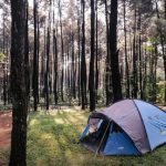 5 tempat camping di kota