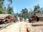 ISESS Minta Mabes Polri Usut Dugaan Penadahan Illegal Logging di Pulau Tengah Karimunjawa